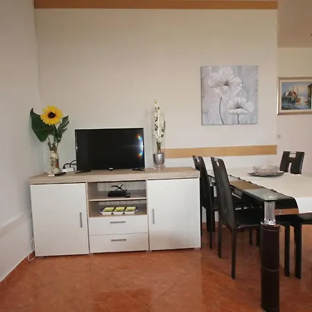 Family Mirela Borik * زادار